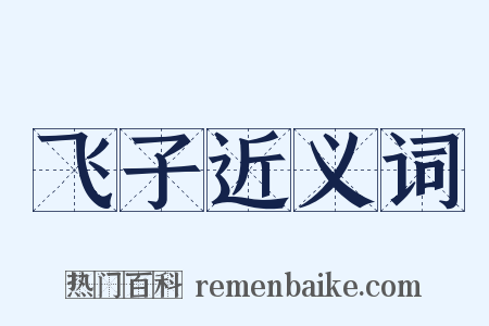 飞子近义词是什么意思的图片